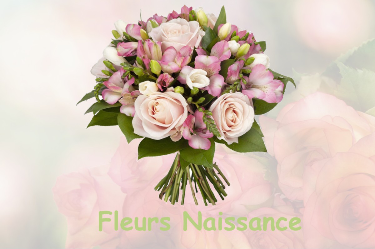 fleurs naissance ARROS-DE-NAY